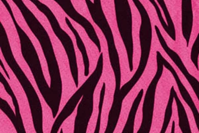 Pink Zebra Stripes Wallpapers