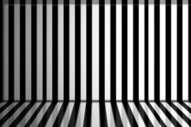 Zebra Desktop Wallpapers   Wallpapers Cave