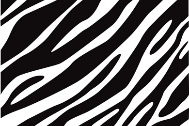 Zebra Stripe Wallpapers