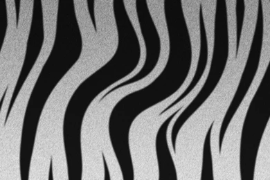 Zebra Stripes Wallpapers