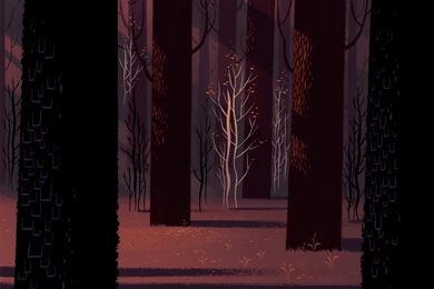 13 Samurai Jack HD Wallpapers