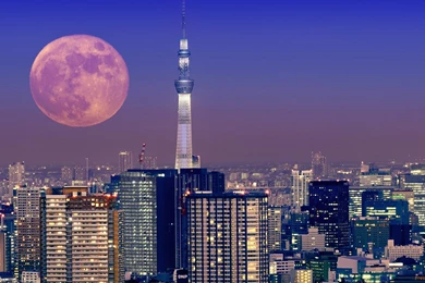 Tokyo Skyline Wallpapers