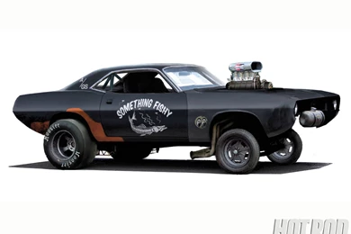 Barracuda Wallpapers