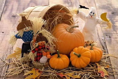 Top Pretty Halloween Widescreen Wallpapers