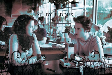 Edward&Bella Wallpapers <3   Edward And Bella Wallpapers (9243217 ...