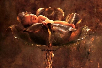 Amazing Funny Picture: Cute Baby HD Picture & Wallpapers Free Download