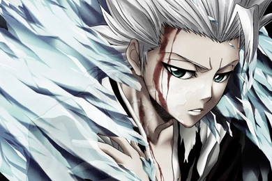 Toshiro Hitsugaya Wallpapers   Wallpapers Cave