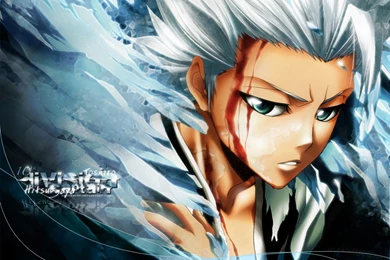 Hitsugaya Wallpapers   Picture Perfect