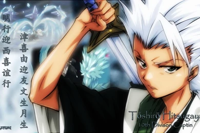 Toshiro Hitsugaya Wallpapers   Wallpapers Cave