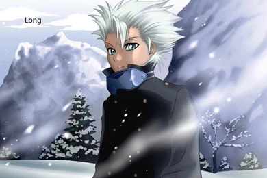 Top Toshiro Hitsugaya Wallpapers Wallpapers