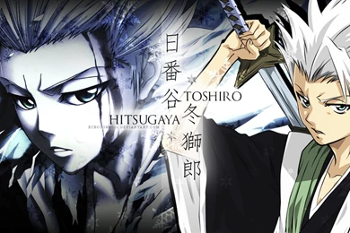 Bleach   Toshiro Hitsugaya Wallpapers (1366x768) By Echosong001 On ...