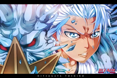 Search Results For Toshiro Hitsugaya HD Wallpapers