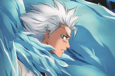 Wallpapers Toshiro Bleach Anime Fanpop Fanclubs 800x600