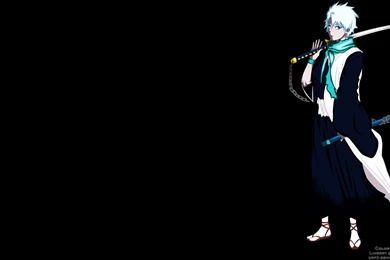 Search Results For Toshiro Hitsugaya HD Wallpapers