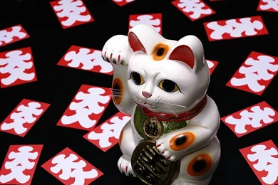 Maneki Neko Photo, Japanese Beckoning Cat Wallpapers 22 Wallcoo.net