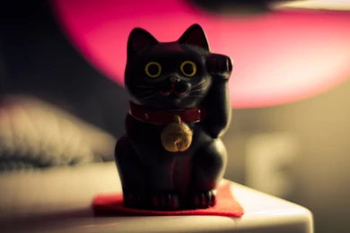 Browsing Wallpapers On DeviantArt