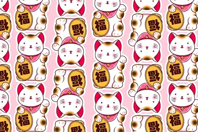 Catwallpapers   DeviantArt