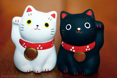 画像 : 【開運・福が来るかも！】【招き猫】PCデスクトップ&スマホ壁紙 ...