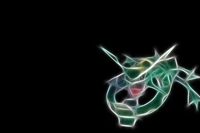 Wallpapers Rayquaza Wwamazing Cool Pokemon Hd 1600x1000