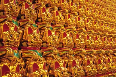 Lucky Cat Army In The Global Pursuit Of Happiness