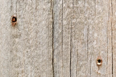 Another Old Wood Backgrounds / Wooden Texture