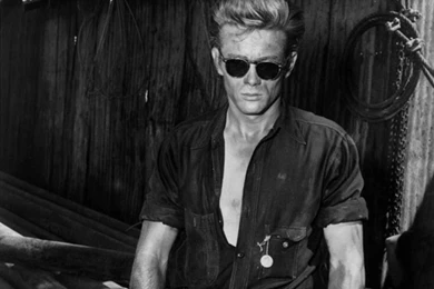 James Dean Photo, Pics, Wallpapers   Photo