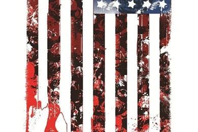 Tattered American Flag iPhone 5 Wallpapers (640x1136)