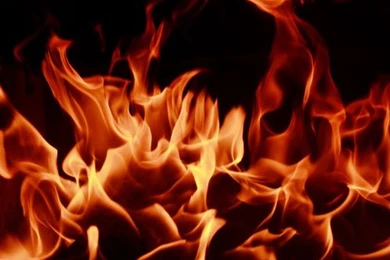 8 Important Words From The Hunger Games