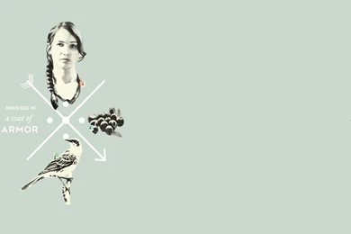 Free Download "The Hunger Games" WallPapers, Posters, And ...