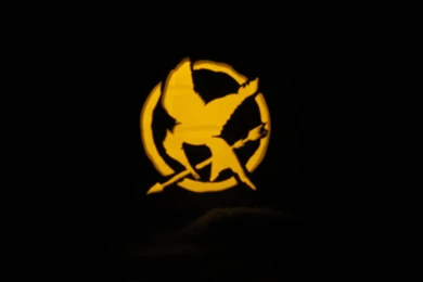 Hunger Games Mockingjay Logo For iPhone 5 Best Wallpaper Images ...