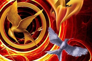 Hunger Games iPhone Backgrounds By TARDISofInsanity On DeviantArt