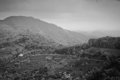 Munnar Mountains Art Wallpaper, HD Wallpapers Downloads