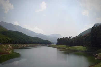 Wyte Mist Hotel Munnar, Kerala