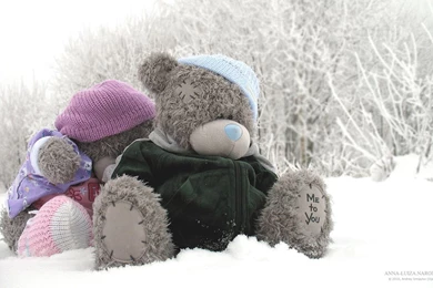 Wallpapers Tatty Teddy Bear Metoyou 1280x801