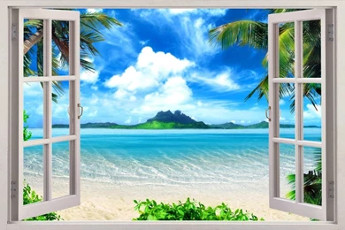 Window Wallpapers