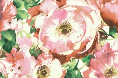 Watercolors Wallpapers Collection By Carey Lind Designs   York W ...