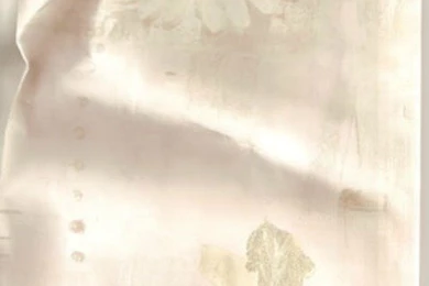 Discontinued Carey Lind Wallpapers