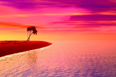 Pink Sunset Wallpapers