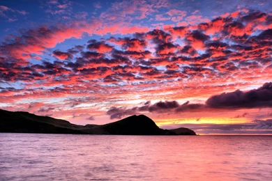 Pink Sunset Wallpapers