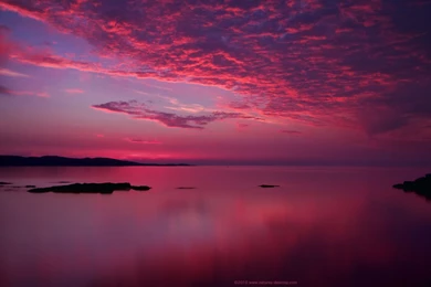 Amazing Pink Sunset Wallpapers