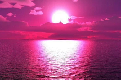 Pink Wallpapers HD   CuteWallpaper.org