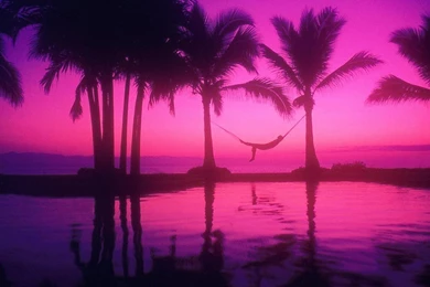 Pink Sunset Wallpapers   (