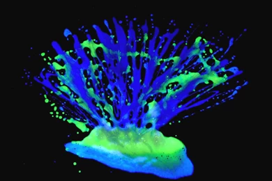 Glow In The Dark Body Painting Art 38 Free Wallpapers ...