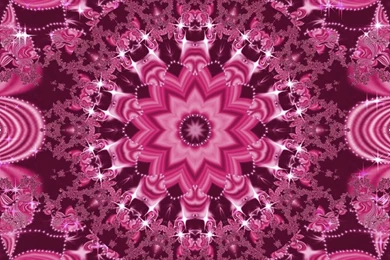 HD Rose Color Glam 1600x Wallpapers