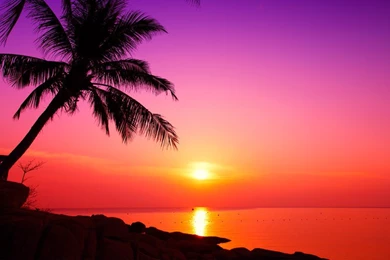 Nangyuan Sunset Wallpapers By Nxxos On DeviantArt