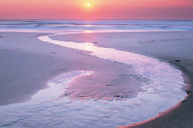 Free Screensavers And Wallpapers   KScreensavers.com