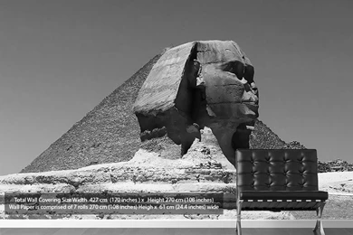 Pharaoh Head Egypt Modern Wallpapers Printed Wall Paper