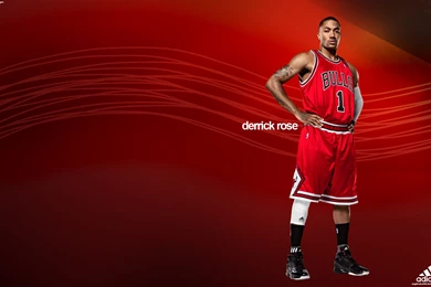 Derrick Rose Basketball Wallpapers 2014