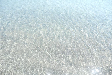 Soft Grunge Tumblr Boys Image Gallery   Photonesta