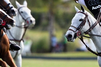 Download Wallpapers 1080x1920 Polo, Sportsmen, Blow, Horses, Game ...